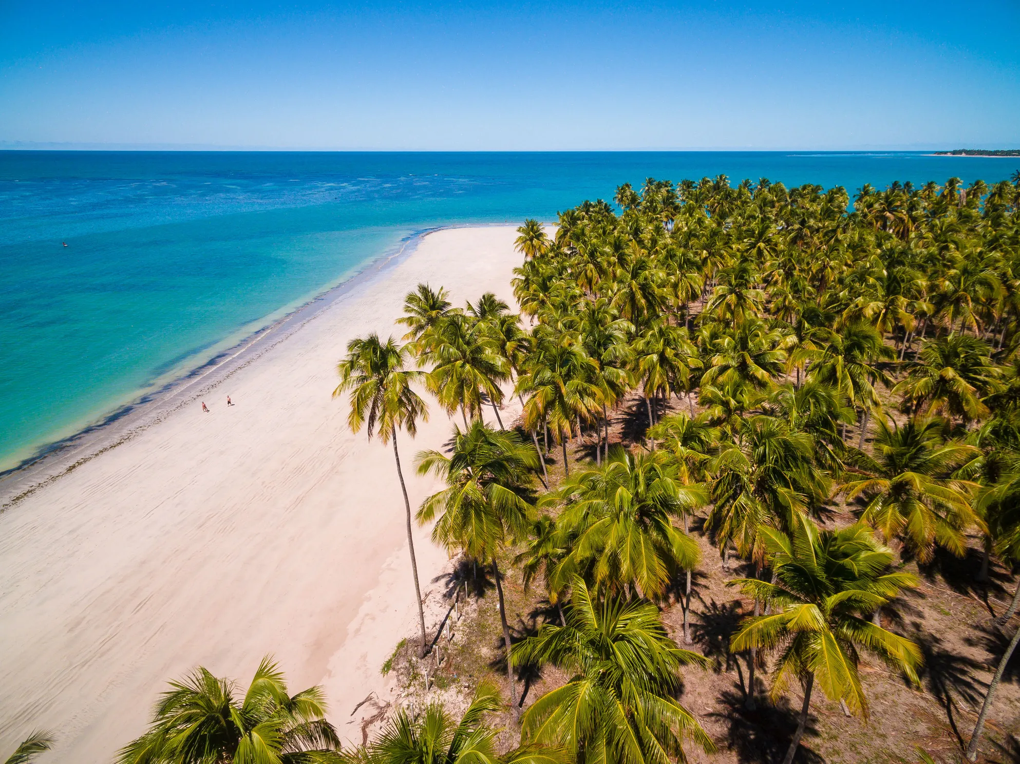 Experiências de viagem únicas na Praia de Carneiros